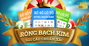 Soi cầu xổ số Bạch Kim hôm nay 26/01/2026